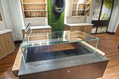 ultra-clear-glass-case