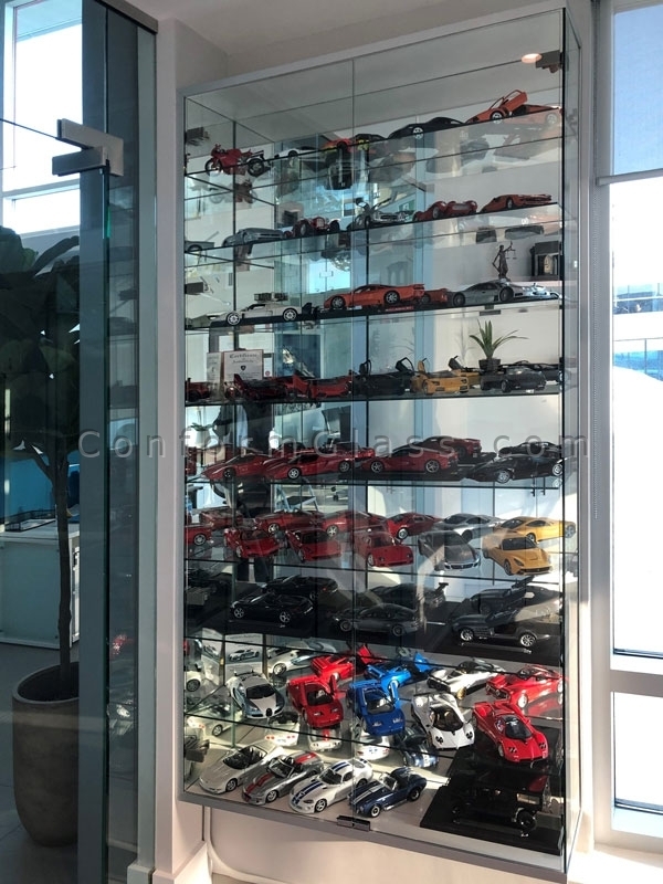 Collectible Display Case