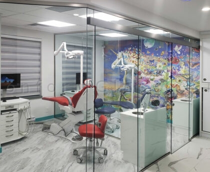 Glass-Wall-with-Glass-Mounted-Sliding-Glass-Doors