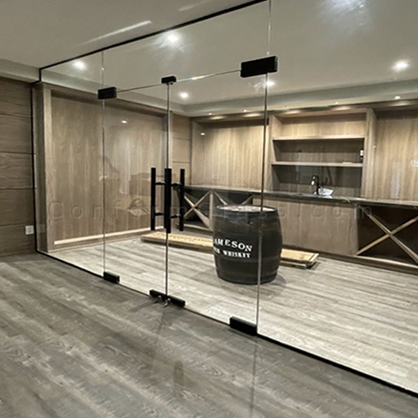 glass-mounted-frameless-doors